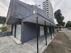 Balestier Road (D12), Shop House #583272441